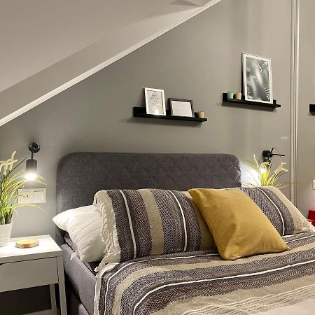 Ski Sun Sea - Rodzinny Apartament Pod Gondola Świeradów-Zdrój Eksteriør billede