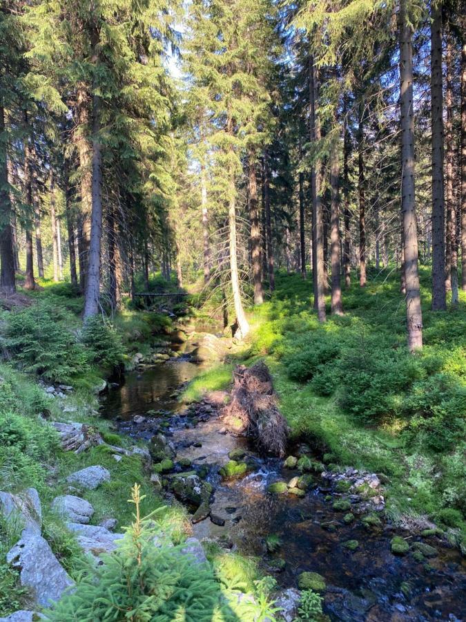 Ski Sun Sea - Rodzinny Apartament Pod Gondola Świeradów-Zdrój Eksteriør billede
