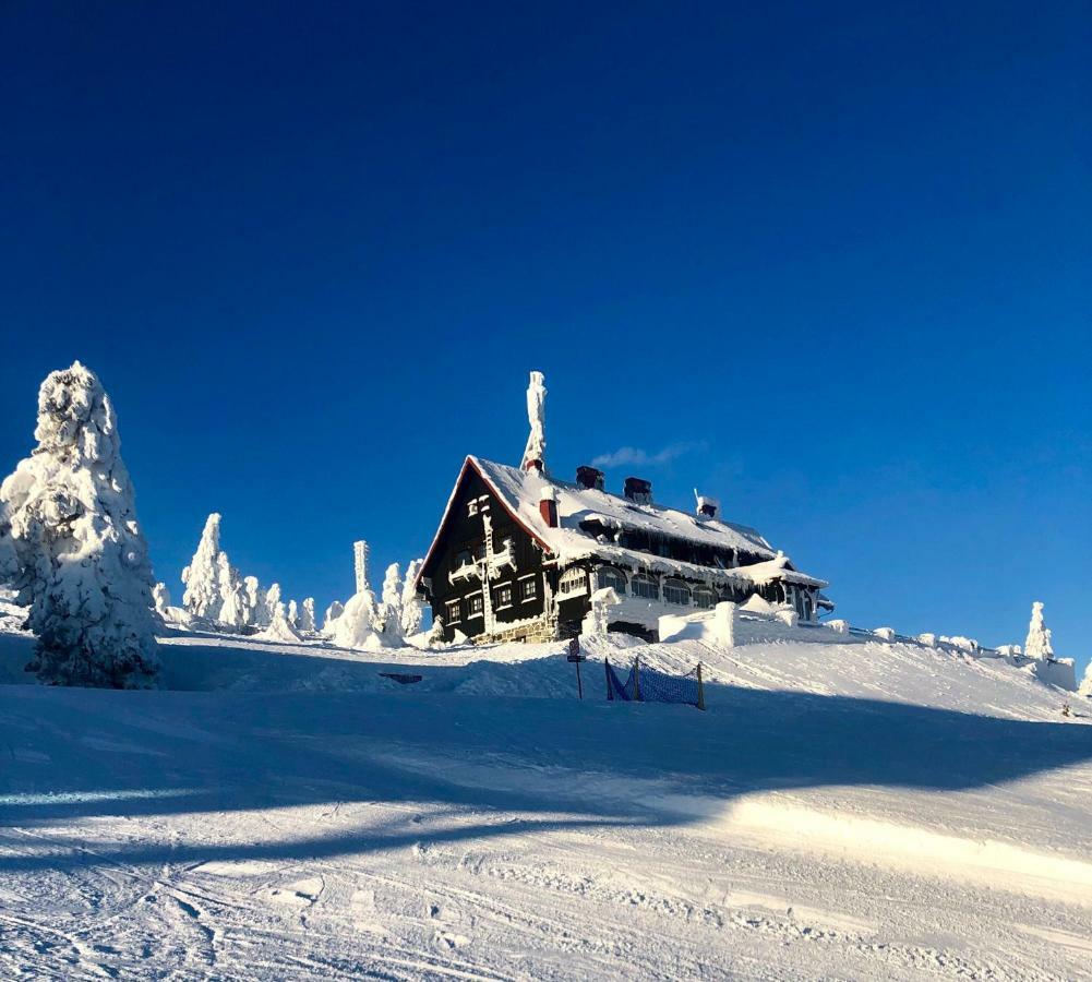 Ski Sun Sea - Rodzinny Apartament Pod Gondola Świeradów-Zdrój Eksteriør billede